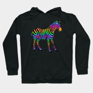 Colorful Zebra Hoodie